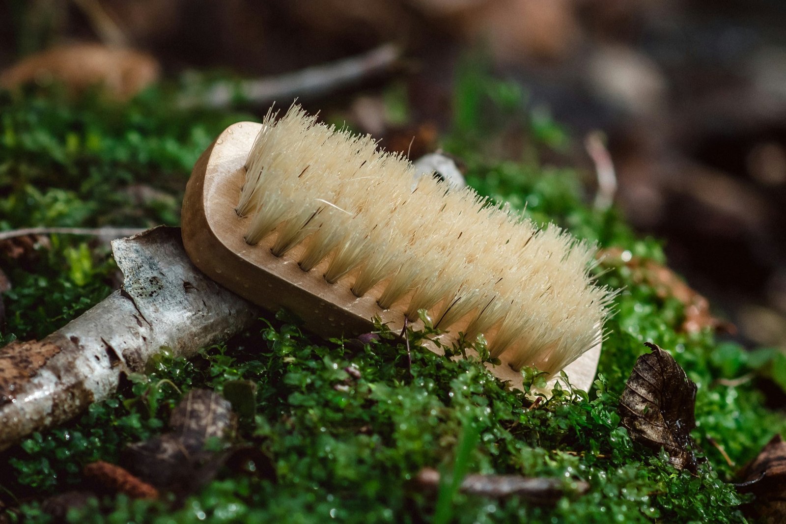 Weiche Bürste zur Reinigung einer Steinoberfläche